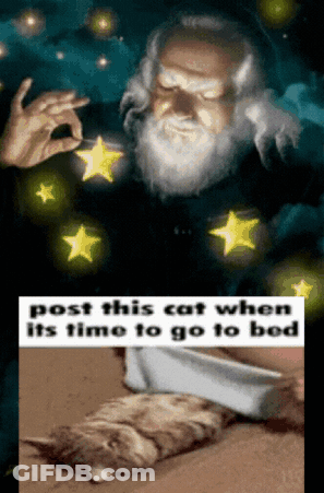 Bearded Man Holding Knife Over Cat GIF