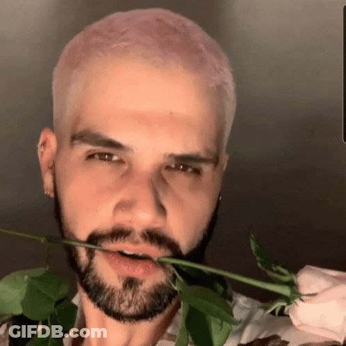 Bearded Man Holding Pink Rose In Mouth GIF