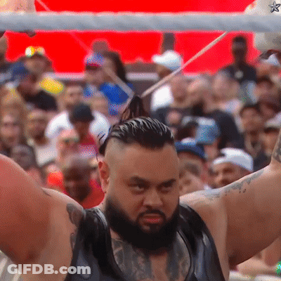 Bearded Man Holding Stick In Front Of Crowd GIF