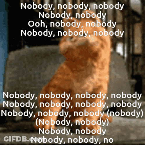 Bearded Man In Black Shirt Saying You Sure GIF