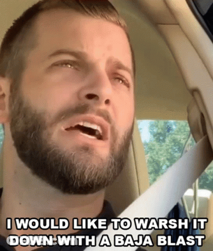 Bearded Man In Car Says I Would Like To Warsh GIF