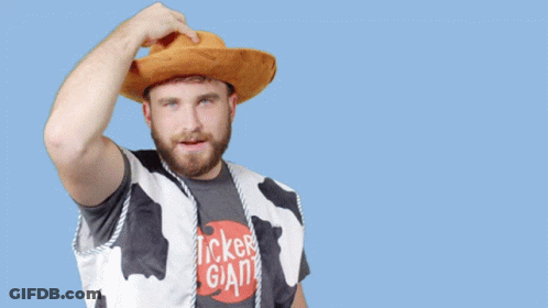 Bearded Man In Cowboy Hat And Plaid Shirt GIF