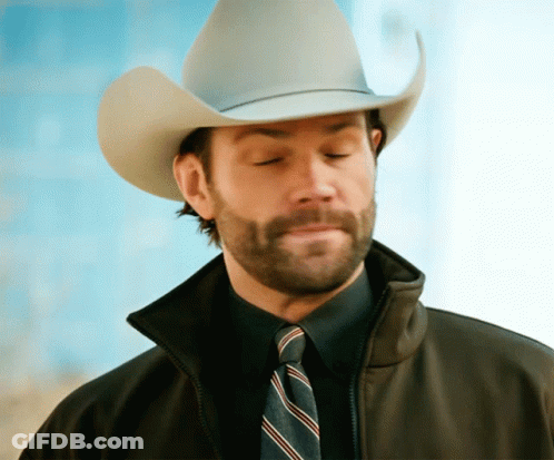 Bearded Man In Cowboy Hat And Striped Tie GIF