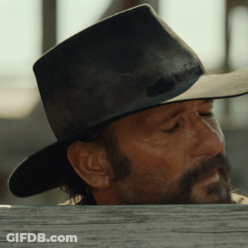 Bearded Man In Cowboy Hat Over Wooden Fence GIF