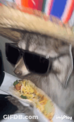 Bearded Man In Damn Shirt GIF