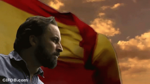 Bearded Man In Front Of Flag GIF