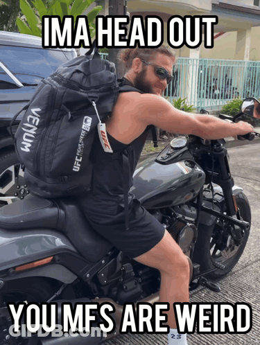 Bearded Man In Green Shirt And Ponytail GIF