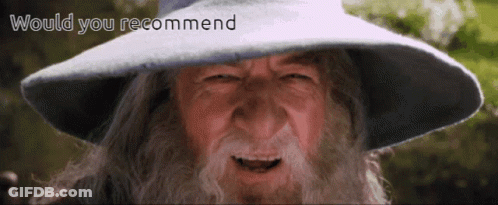 Bearded Man In Hat Saying Would You Recommend GIF