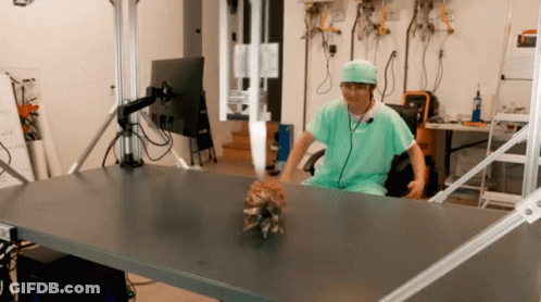 Bearded Man In Hat Tongue Out GIF