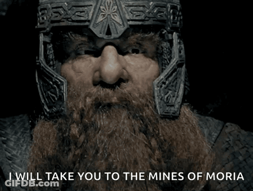 Bearded Man In Helmet Says I Will Take You To The Mines Of Moria GIF