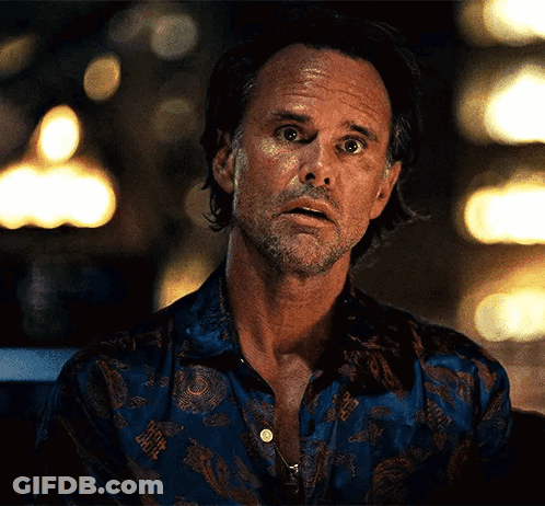 Bearded Man In Patterned Blue Shirt GIF