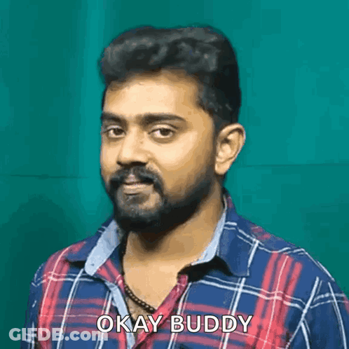 Bearded Man In Plaid Shirt Says Okay Buddy GIF