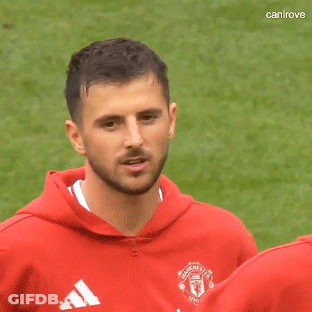 Bearded Man In Red Adidas Sweatshirt On Green Field GIF