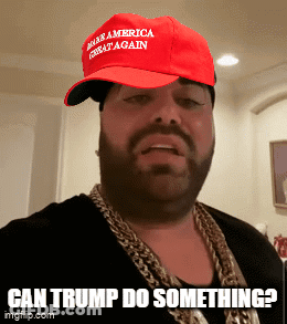Bearded Man In Red Hat Man America Great Again GIF