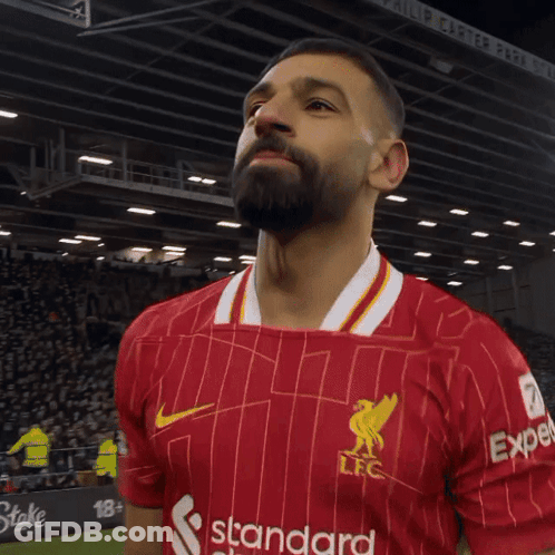 Bearded Man In Red Shirt Saying Standard GIF