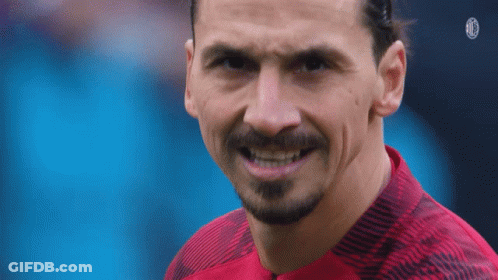 Bearded Man In Red Shirt With Black Stripe GIF