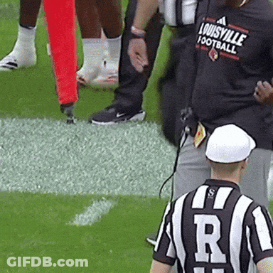 Bearded Man In Snapdragon Shirt GIF
