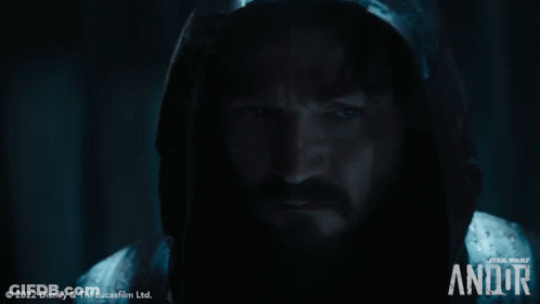 Bearded Man In Star Wars Hooded Jacket GIF