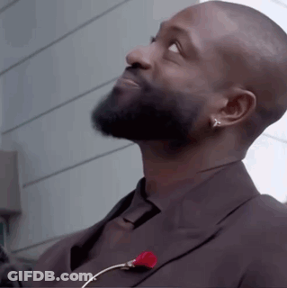 Bearded Man In Suit And Tie With Red Rose Pin GIF