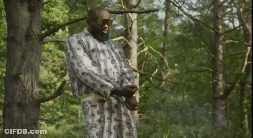 Bearded Man In Sunglasses In Woods GIF