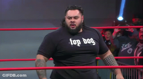 Bearded Man In Top Dog Shirt GIF