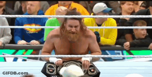 Bearded Man In Wrestling Ring With Crowd GIF