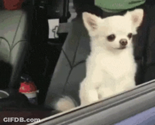 Bearded Man Laying On Bed Saying Hello GIF