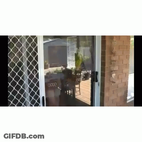 Bearded Man Lying On Ground Mouth Open GIF