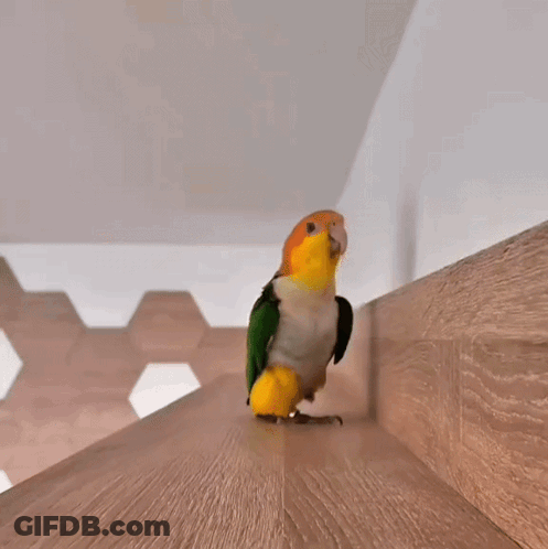 Bearded Man Making Funny Face Looking Up GIF