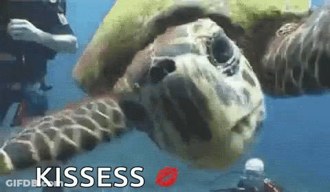 Bearded Man Making Funny Face Saying Still GIF