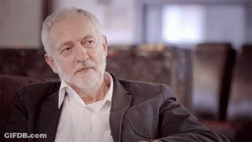 Bearded Man On Couch Looking At Camera GIF