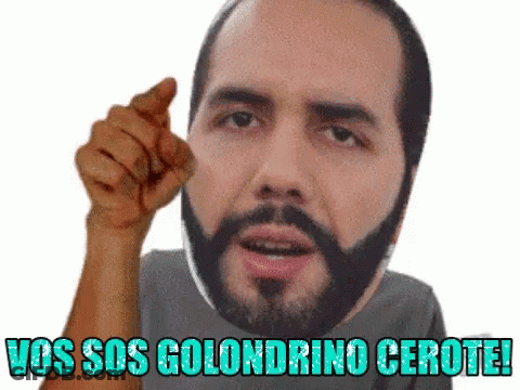 Bearded Man Pointing At Camera Saying Vos Sos Golondrino Cerote GIF