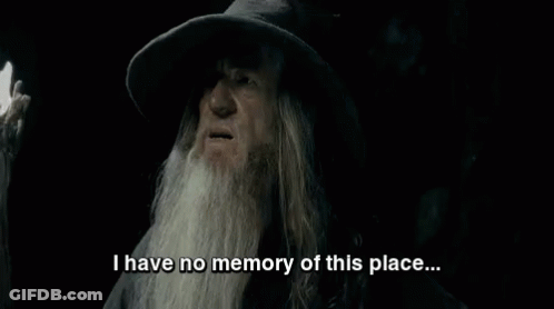 Bearded Man Saying No Memory Of This Place GIF