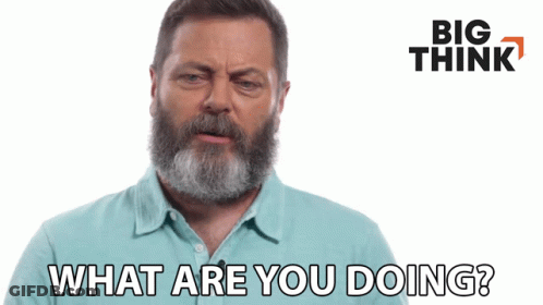 Bearded Man Saying What Are You Doing GIF