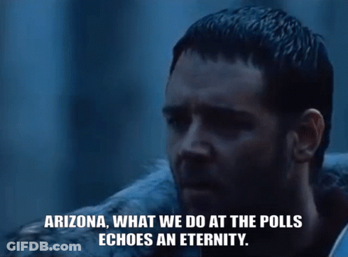 Bearded Man Says Arizona What We Do At The Polls Echoes An Eternity GIF