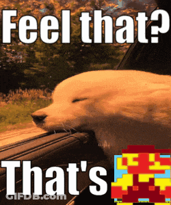 Bearded Man Says That's A Shut Door GIF
