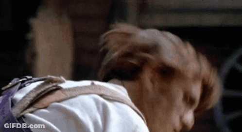 Bearded Man Says You Want Facts Here's Some Facts GIF