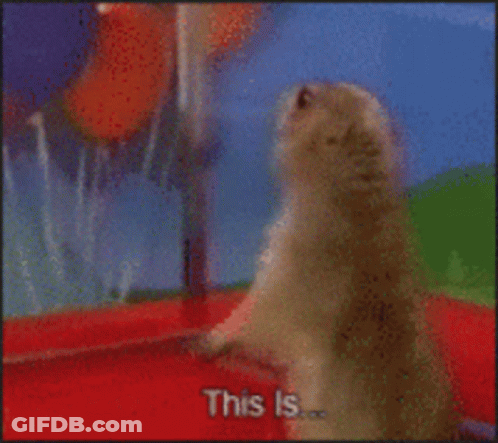 Bearded Man Screaming Sparta GIF
