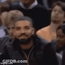 Bearded Man Sitting In Crowd Watching Game GIF