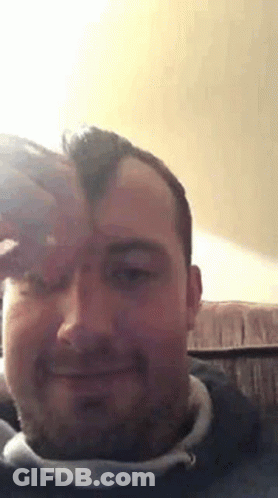 Bearded Man Sitting On Couch Hand On Forehead Smiling GIF