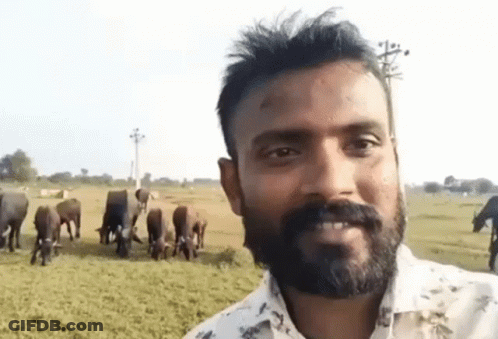 Bearded Man Smiling In Front Of Herd Of Cows GIF