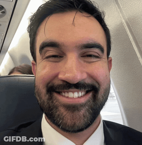 Bearded Man Smiling On Plane GIF