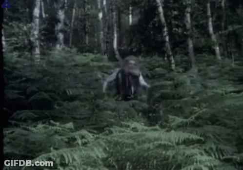 Bearded Man Standing In Forest GIF