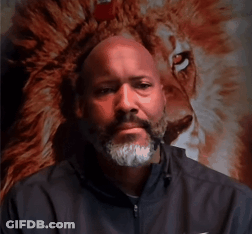 Bearded Man Standing In Front Of Lion Head GIF