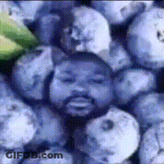 Bearded Man Surrounded By Blueberries GIF