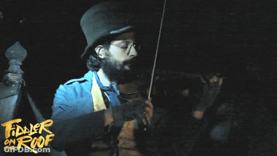 Bearded Man Violin GIF