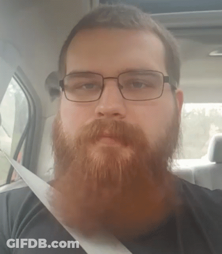 Bearded Man Wearing Glasses Sitting In Car GIF