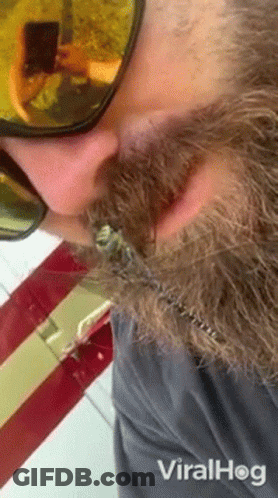 Bearded Man Wearing Sunglasses Taking Selfie GIF