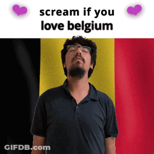 Bearded Man With Glasses By Belgium Flag GIF