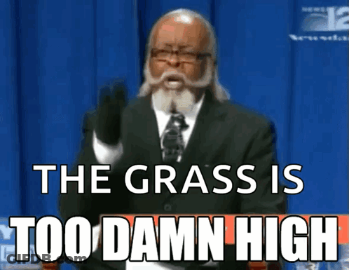 Bearded Man With Glasses Saying The Grass Is Too Damn High GIF